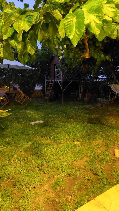 Diamant'S Place With Treehouse Garden Kounoupidhianá Exteriör bild